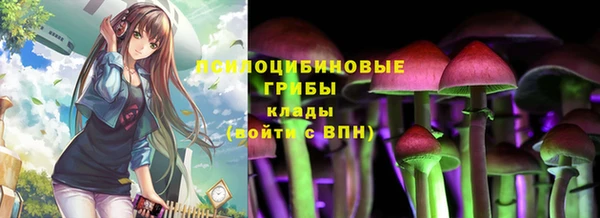 хмурый Балахна