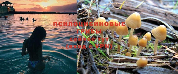 спиды Белокуриха